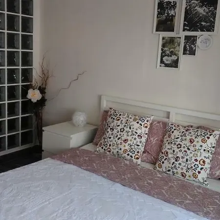 게스트하우스 Apartament's Veiga Areeiro *