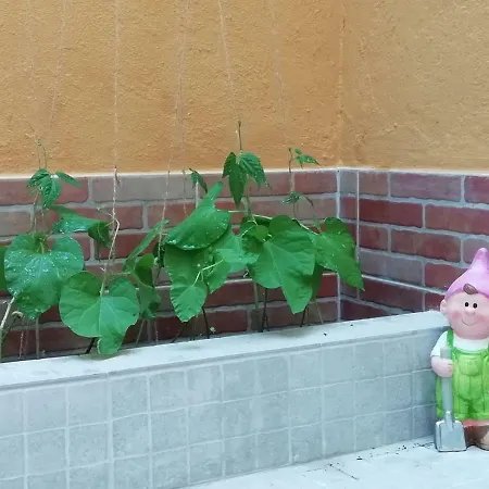 Apartament's Veiga Areeiro Pensjonat *