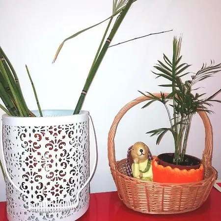 Apartament's Veiga Areeiro